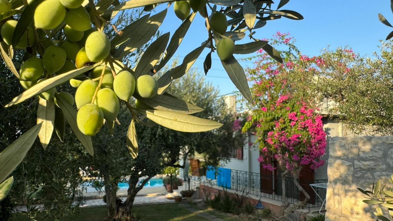 Lily'S Cottage Platanes  Dış mekan fotoğraf