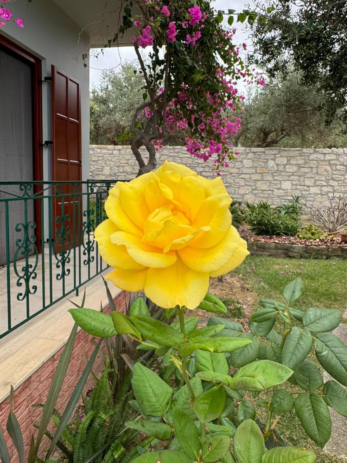 Lily'S Cottage Platanes  Dış mekan fotoğraf