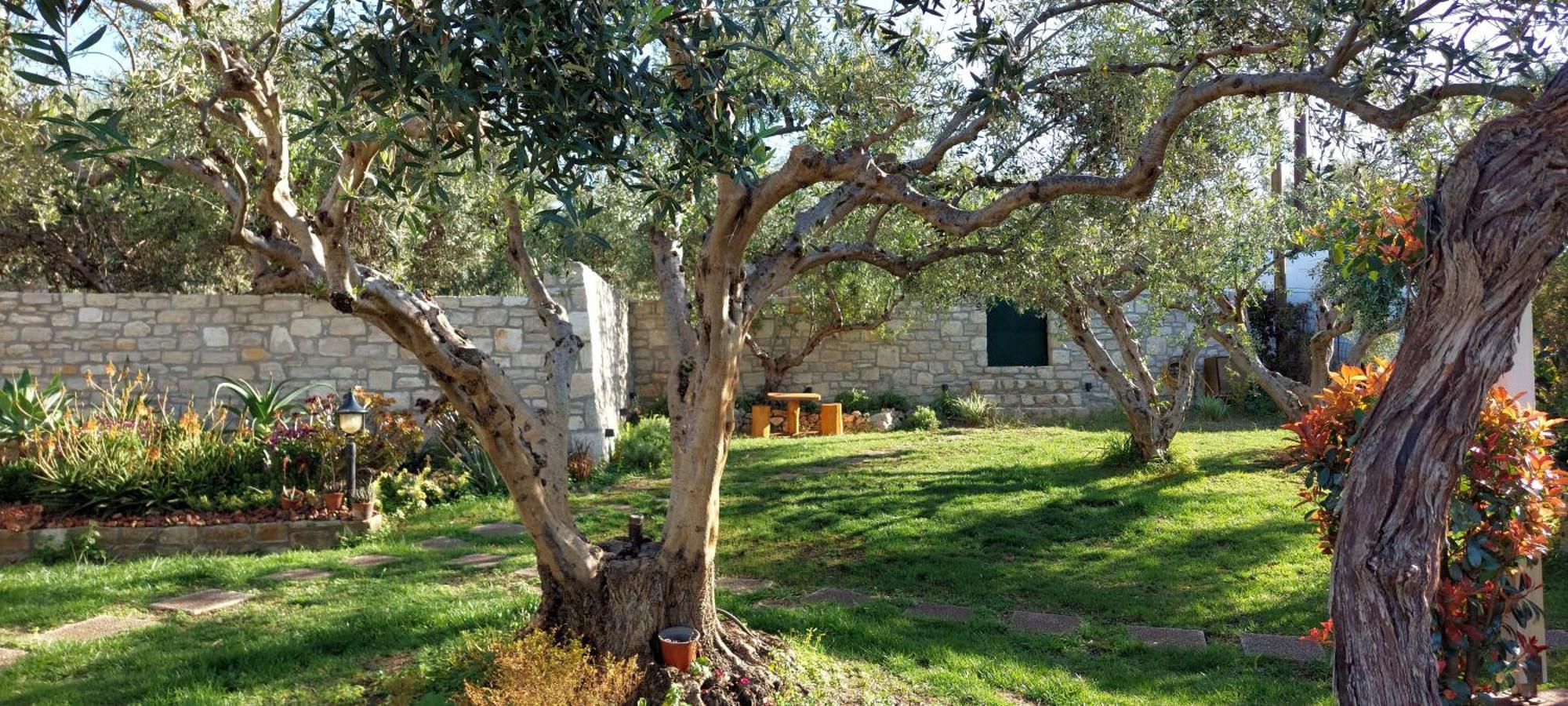 Lily'S Cottage Platanes  Dış mekan fotoğraf